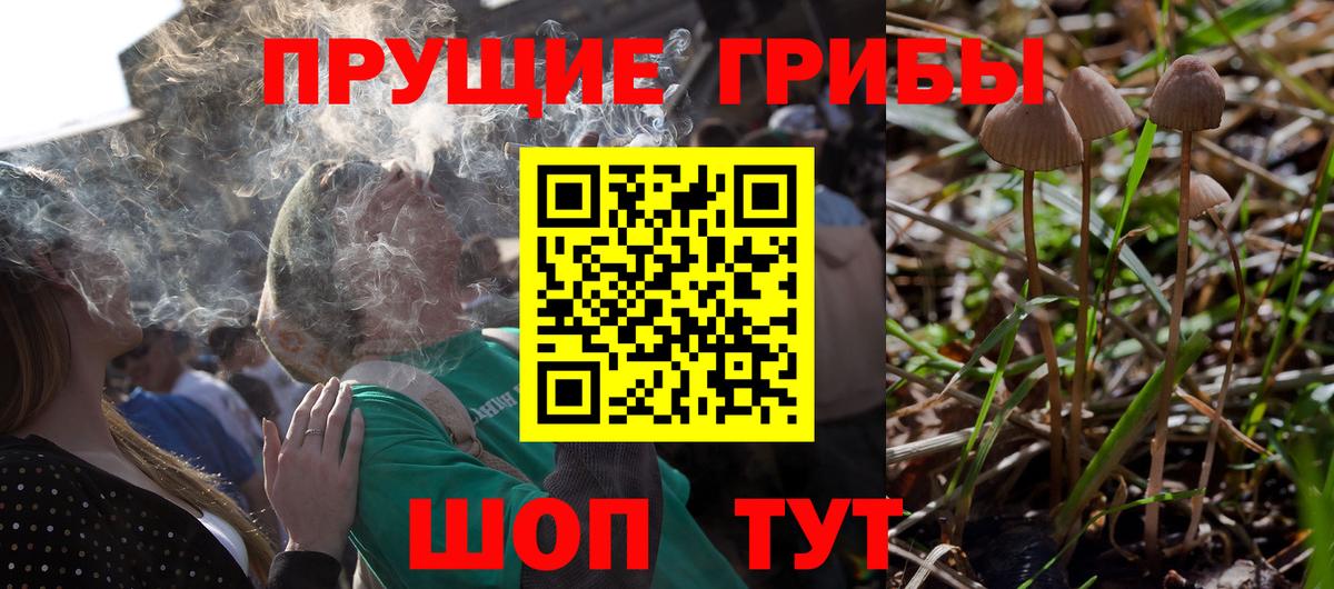 Брянск  Псилоцибиновые грибы GOLDEN TEACHER  Вход с VPN 